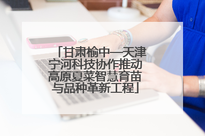 甘肃榆中—天津宁河科技协作推动高原夏菜智慧育苗与品种革新工程